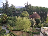 View From The Room 2.jpg